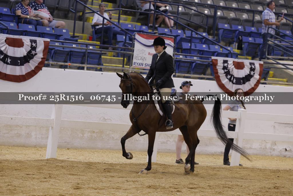 Proof Number 25R1516_06745