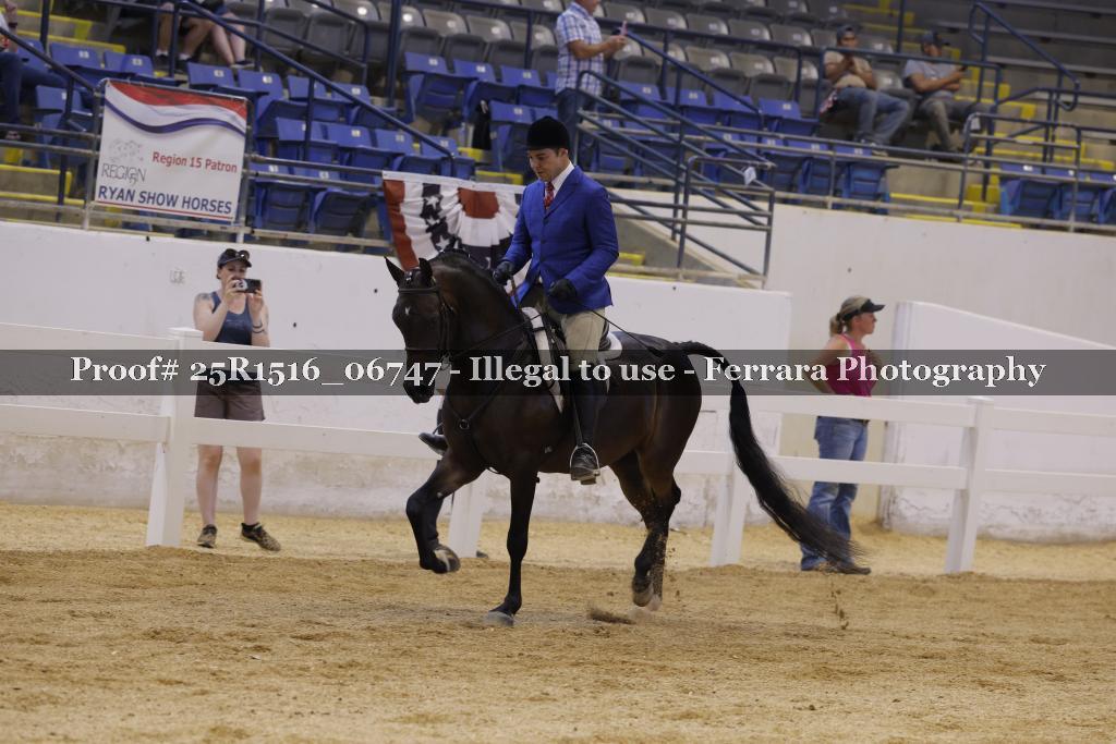 Proof Number 25R1516_06747