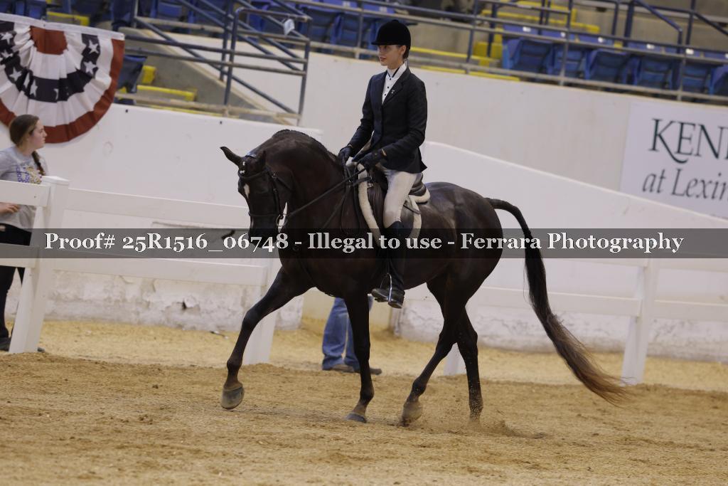 Proof Number 25R1516_06748