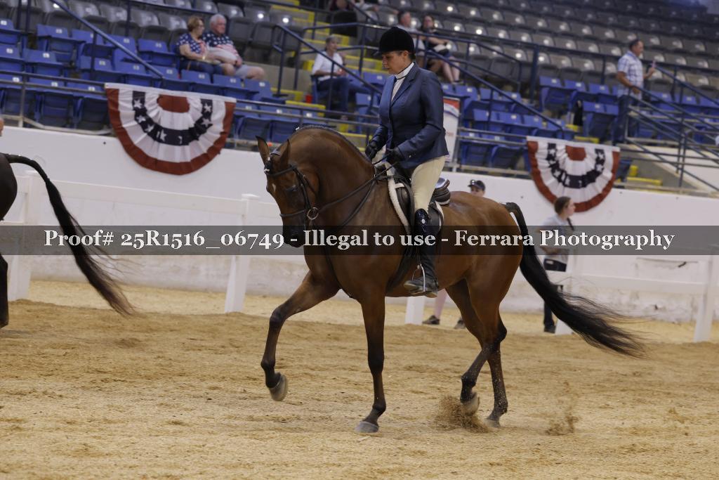 Proof Number 25R1516_06749