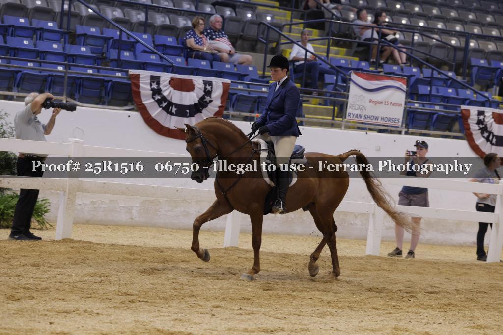 Proof Number 25R1516_06750