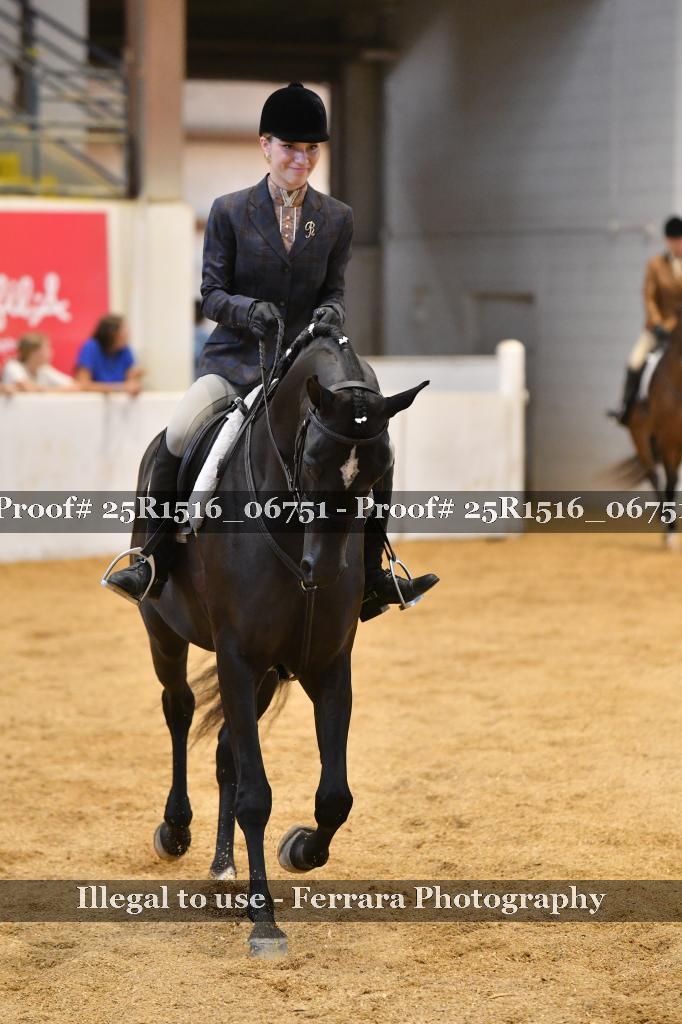 Proof Number 25R1516_06751
