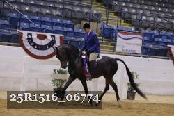 25R1516_06774 thumbnail