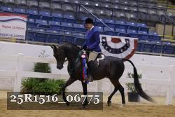 25R1516_06775 thumbnail