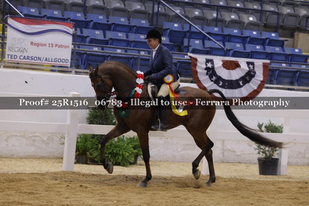 Proof Number 25R1516_06783