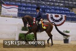25R1516_06783 thumbnail