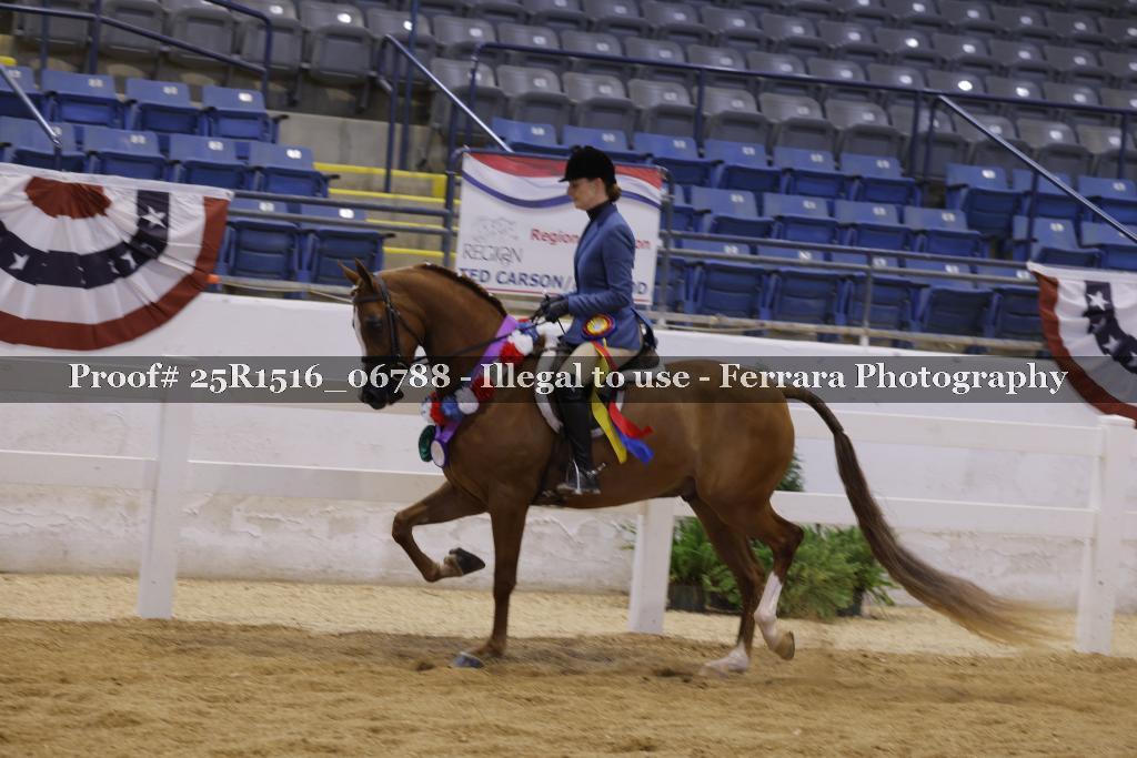 Proof Number 25R1516_06788