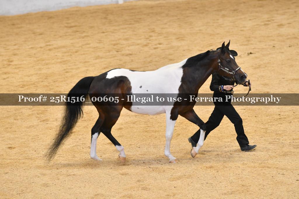 Proof Number 25R1516_00605