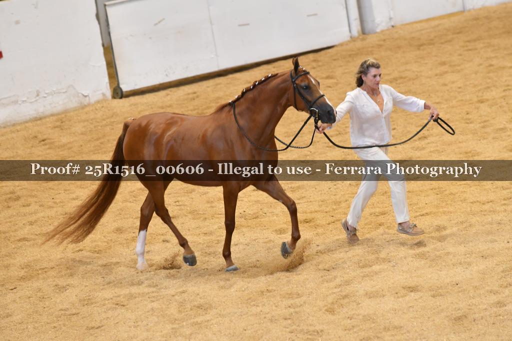 Proof Number 25R1516_00606