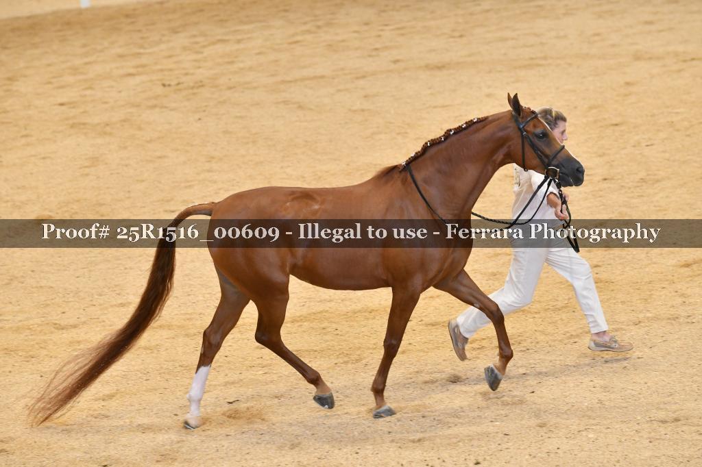 Proof Number 25R1516_00609
