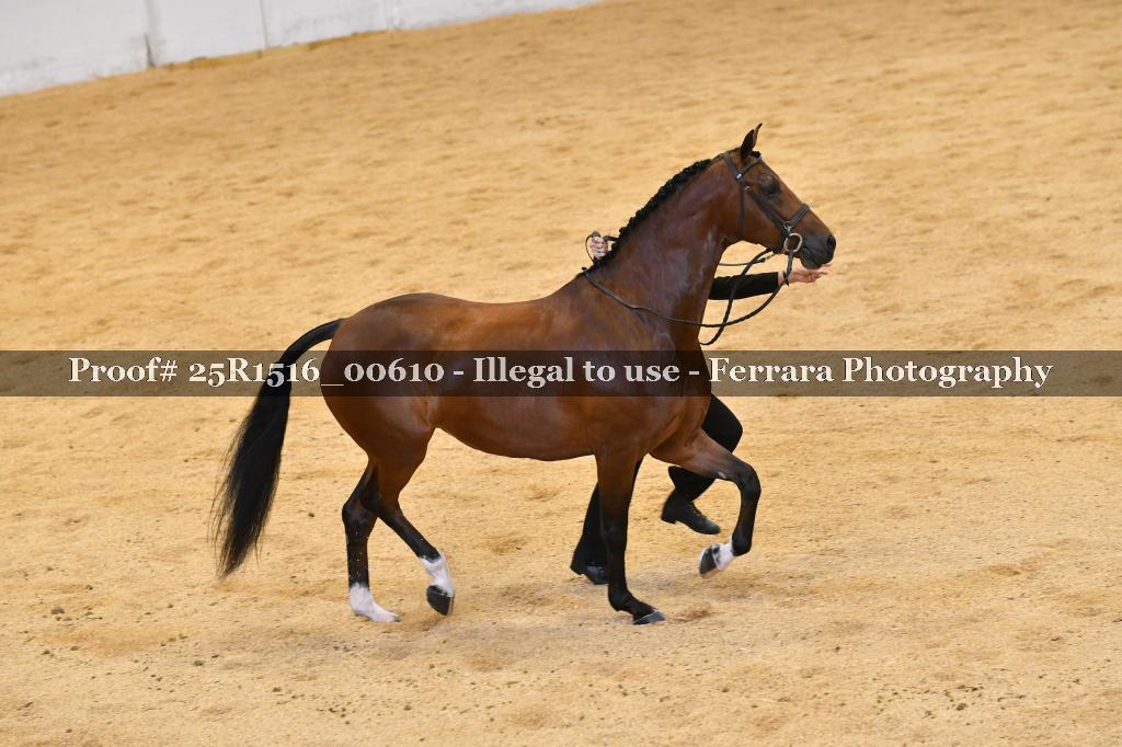 Proof Number 25R1516_00610