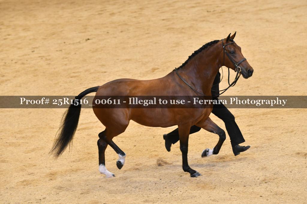 Proof Number 25R1516_00611