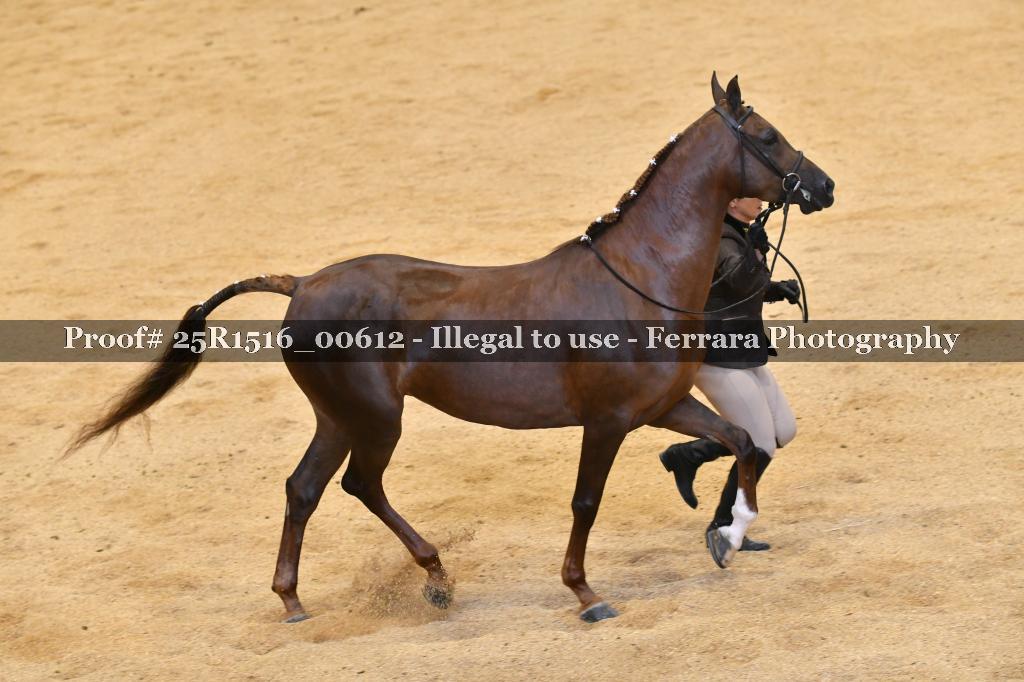 Proof Number 25R1516_00612