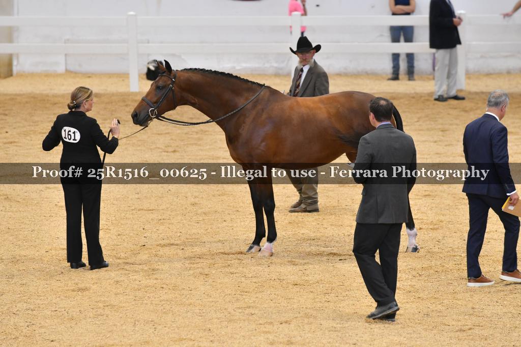 Proof Number 25R1516_00625