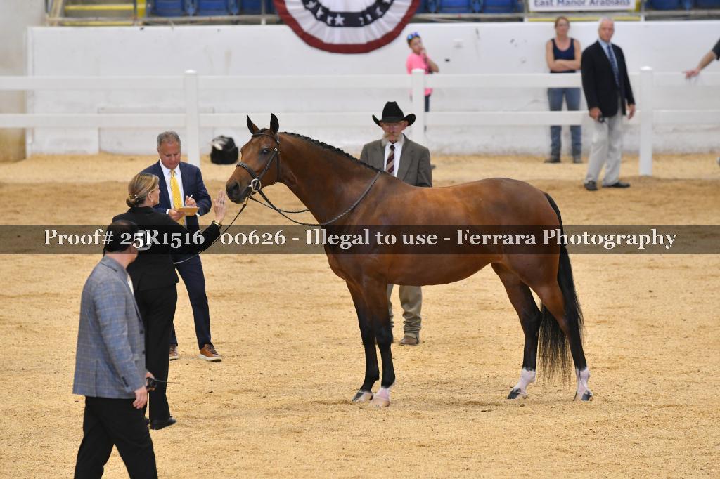 Proof Number 25R1516_00626