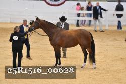 25R1516_00628 thumbnail