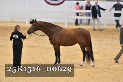 25R1516_00629 thumbnail