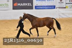 25R1516_00630 thumbnail