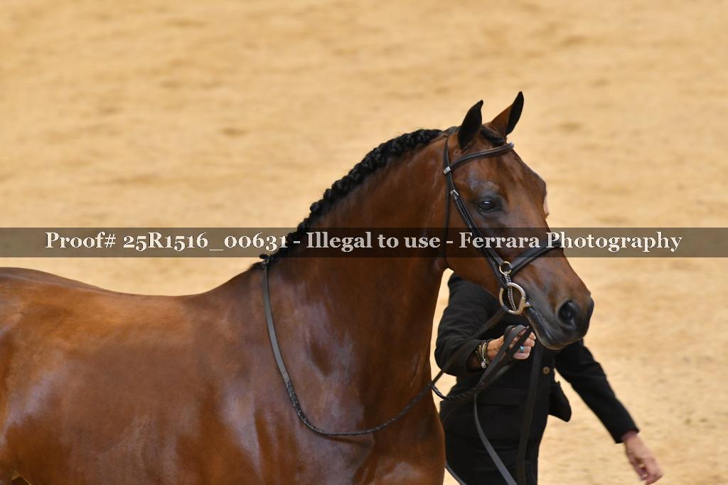 Proof Number 25R1516_00631