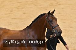 25R1516_00631 thumbnail
