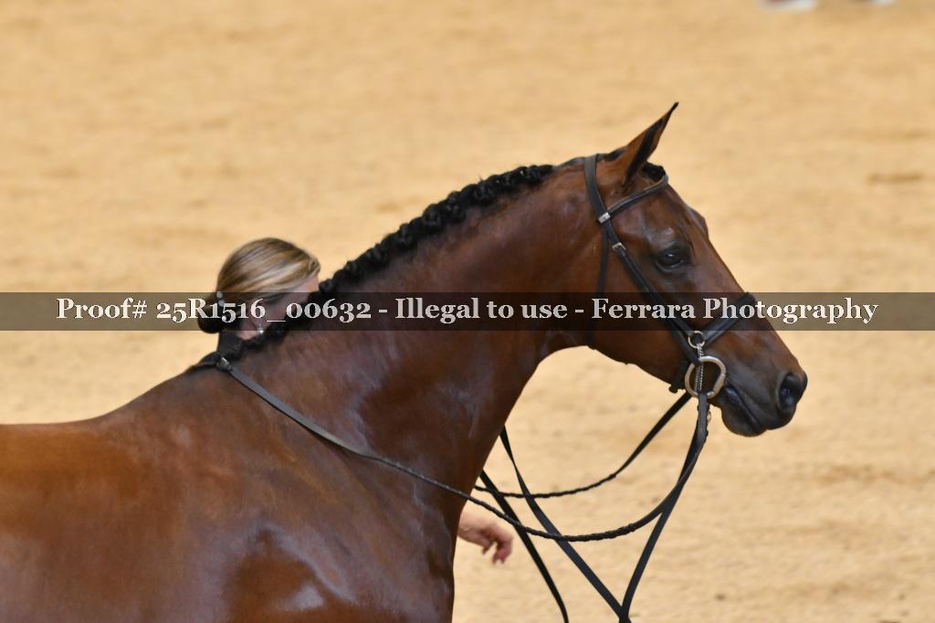 Proof Number 25R1516_00632