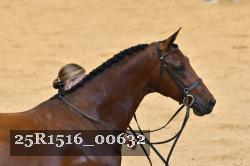 25R1516_00632 thumbnail