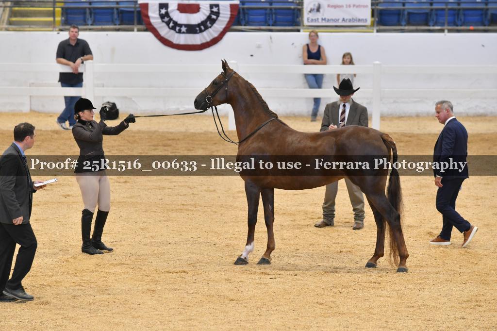 Proof Number 25R1516_00633