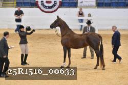 25R1516_00633 thumbnail
