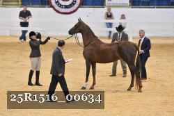 25R1516_00634 thumbnail