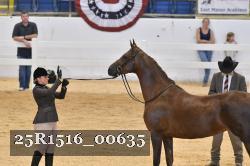 25R1516_00635 thumbnail