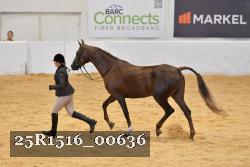 25R1516_00636 thumbnail