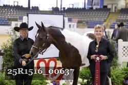 25R1516_00637 thumbnail