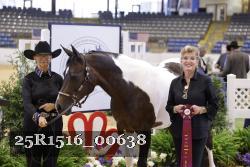 25R1516_00638 thumbnail