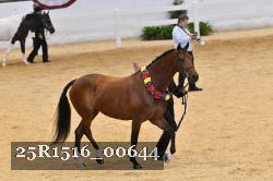 25R1516_00644 thumbnail
