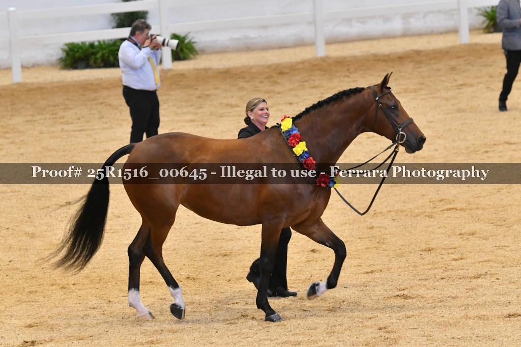 Proof Number 25R1516_00645