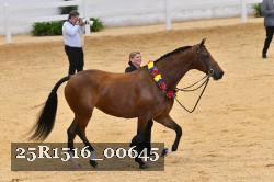 25R1516_00645 thumbnail