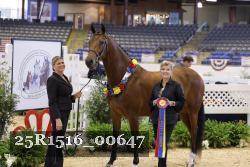 25R1516_00647 thumbnail