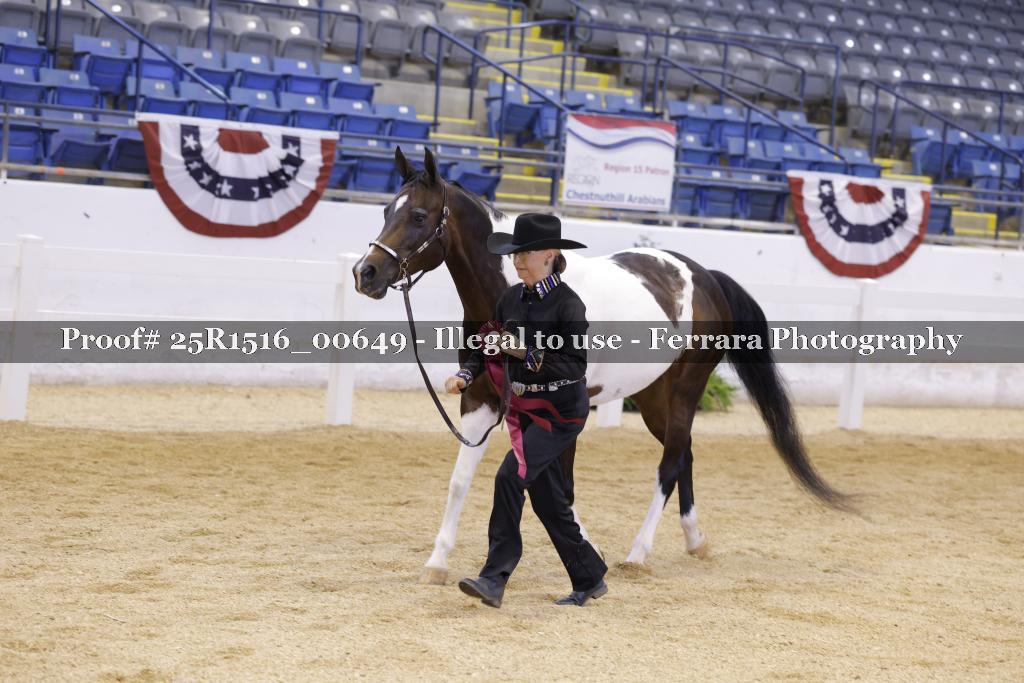 Proof Number 25R1516_00649