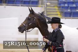 25R1516_00650 thumbnail