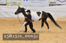 25R1516_00651 thumbnail