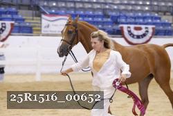 25R1516_00652 thumbnail