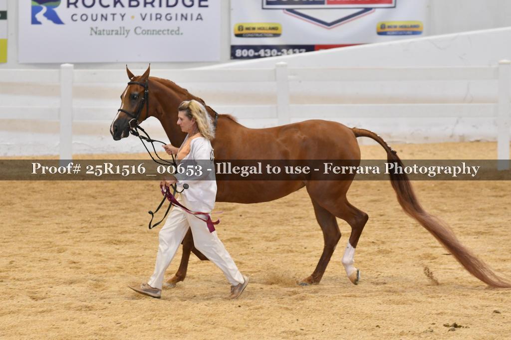 Proof Number 25R1516_00653