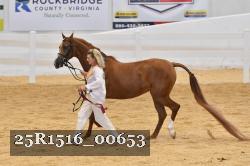 25R1516_00653 thumbnail