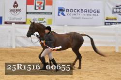 25R1516_00655 thumbnail