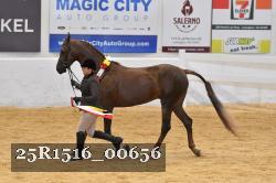 25R1516_00656 thumbnail
