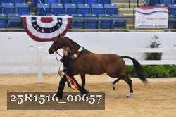 25R1516_00657 thumbnail