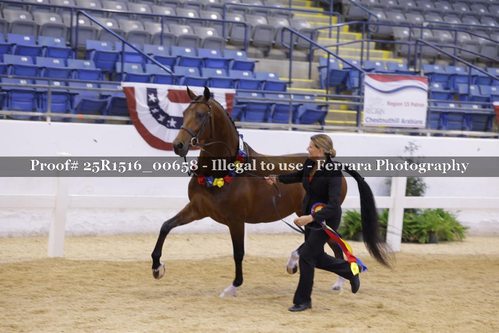 Proof Number 25R1516_00658