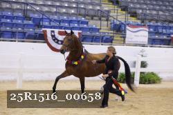 25R1516_00658 thumbnail