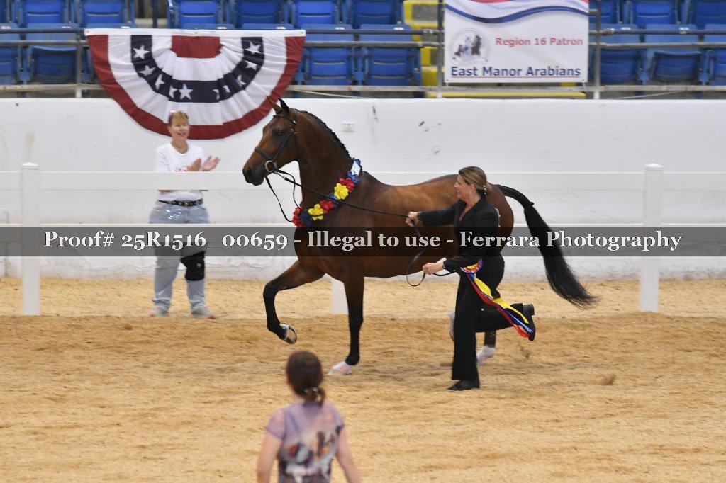 Proof Number 25R1516_00659