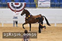 25R1516_00659 thumbnail